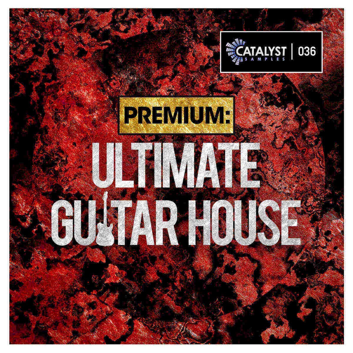 Catalyst Samples - Premium: Ultimate Guitar House Sample Packs Software GUI Artwork